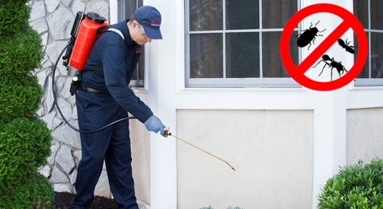 Burdur Böcek ve Haşere İlaçlama böcek ilaçlama ve haşere kontrolü — ilaclama-tr.com